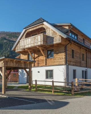 Premium maisonette near ski resorts