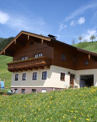 Apartment near the ski area in Wagrain