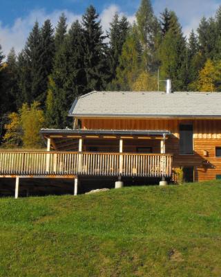 Chalet in Styria near the ski area