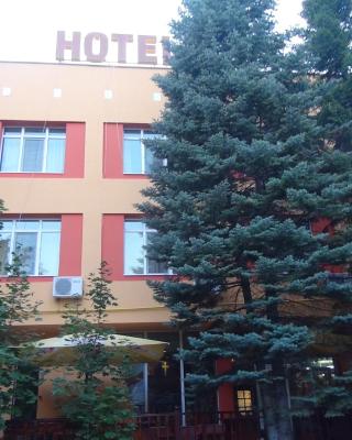 Family Hotel Familya