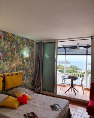 Vous rêvez de soleil ! studio Abricot 309