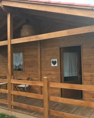 CAMPING PUIGCERCOS