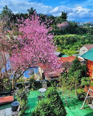 Đèn lồng homestay & coffee