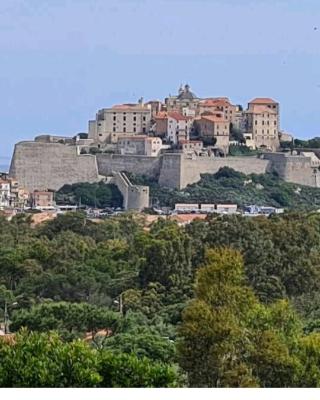 130m2 qui surplombe la baie de Calvi vue citadelle