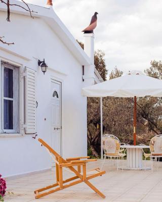 Entire house with garden, 70m from the beach.