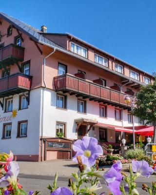 Wochner's Hotel-Sternen Am Schluchsee Hochschwarzwald