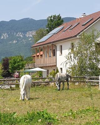 Lipizzaner Lodge Guest House