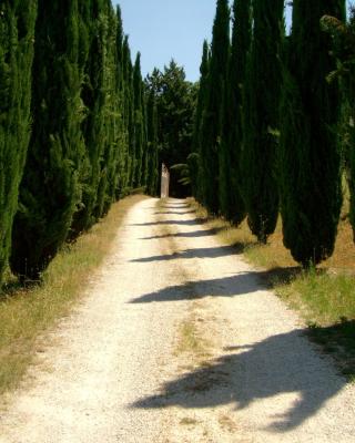 B&B Il Grotto