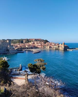 La perle de Collioure à 100 métres de la plage de sable fin avec piscine et parking