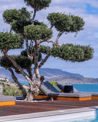 The Olive Tree Villa Elounda