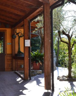 Costa del Gallo
