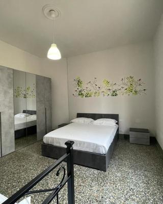 Homelink Firenze - Charlotte