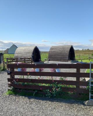 Hillside Camping Pods and Shepherd's Hut