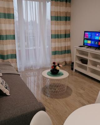 Apartman Savic