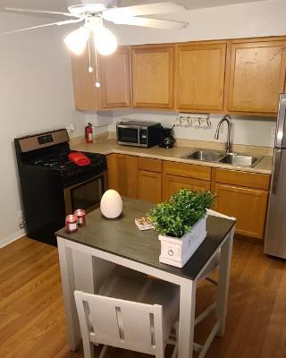 Cozy 1 bedroom, 1 min from Irving Park Blue line, free parking
