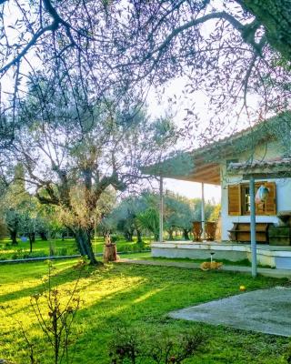 Nafpaktos cottage by the sea for travelers and dreamers!