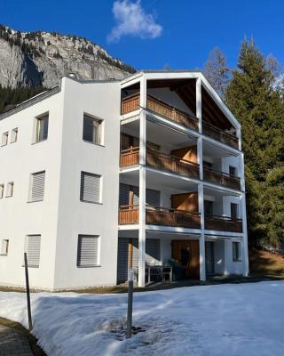 Spacious apartment up to 6 people in Flims