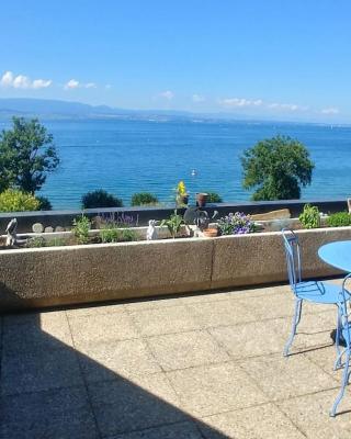 Lakefront. Appartement pieds dans l'eau. View and direct access to the lake.