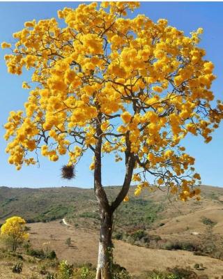 Pousada e Restaurante Boia Cross