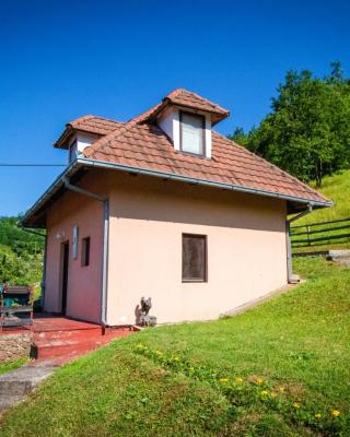 Apartmani Vidra