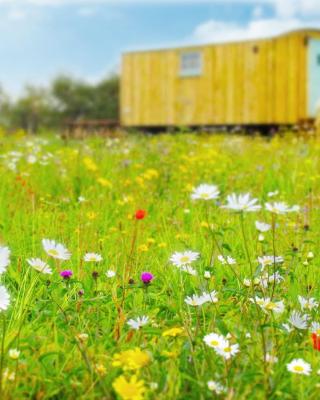 Honeysuckle Farm Holidays by Stay In Suffolk