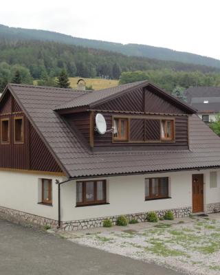 Vakantiehuis Cerny Dul 38