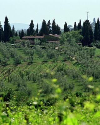 Fattoria Casa Sola