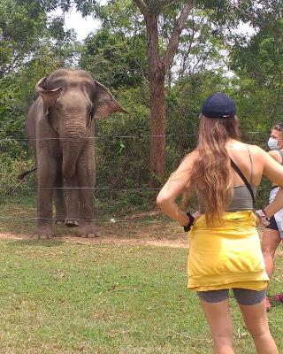 Nature Lovers Safari & Villa
