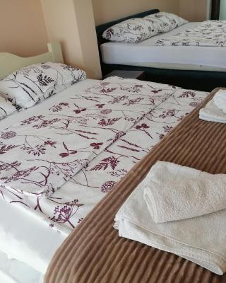 Apartman Solomonovic