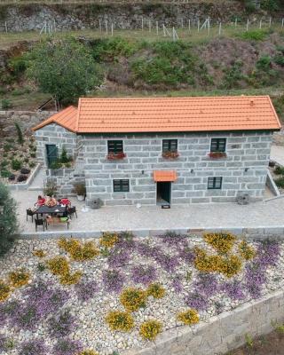 Quinta de Varzielas - Agroturismo