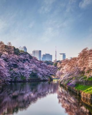 Four Seasons Hotel Tokyo at Otemachi