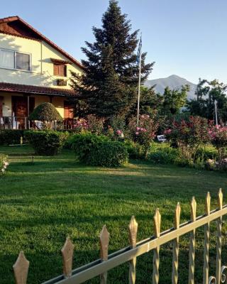 Villa Axiothea