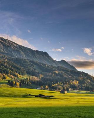 Allgäuer Heimat