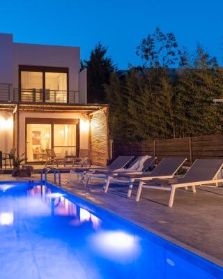 Luxury NissoVilla with Private Pool & Sea Views