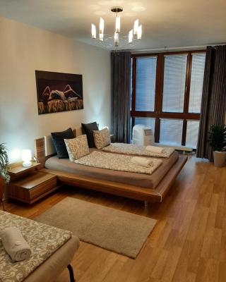 Nobless Apartment Brno