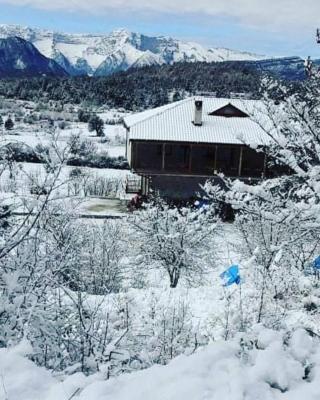 Bujtina Vila Dodo