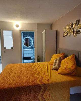 Studio havre aux hibiscus avec piscine proche de la mer