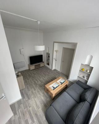 Superbe appartement rénové au centre de Forbach
