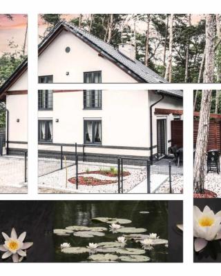 Lily - Sunny Flowers Apartments