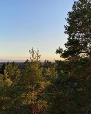 Spacious 68m2 apartment with fabulous forest view