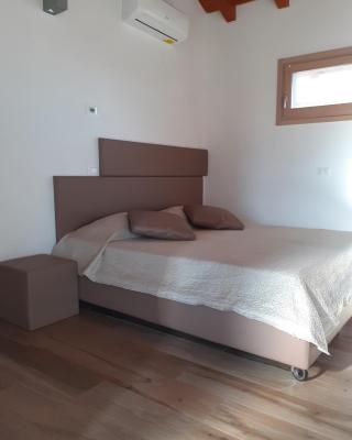 Ex Cinquantadue