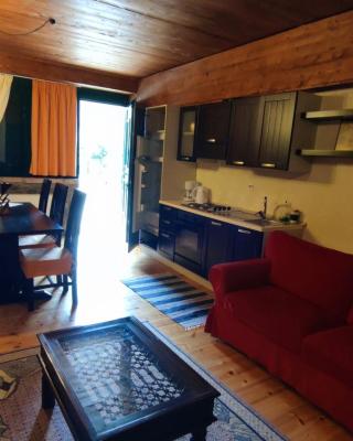 Traditional cozy apartments in Livadi Parnassos