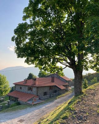 Agriturismo Sperandini