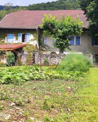 Du Vent Dans Les Arbres -120m2 Belle vue sur le lac