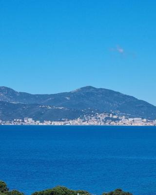 Superbe appartement T3 face mer baie Ajaccio
