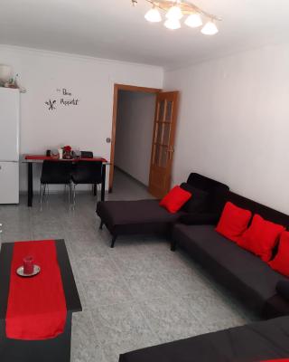 habitación grande en piso compartido con 2 adultos y 1 perrito