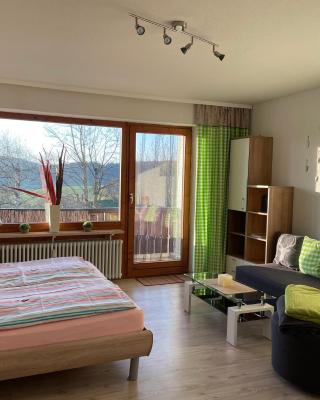 Fewo Ferienpark mit Swimmingpool und Aussicht 15