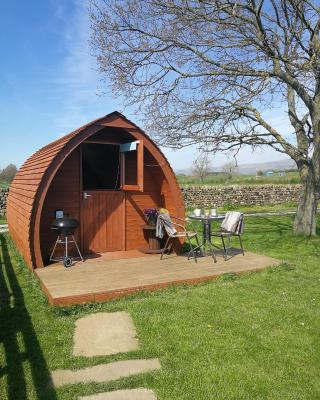 Sunny Mount Glamping Pod