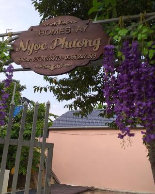Homestay view đồi Hòn Sơn