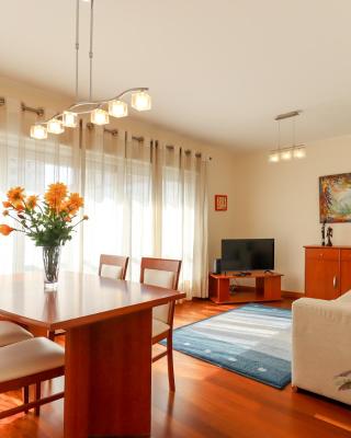 Sweet Living Viana - City Centre Apartment with Garage